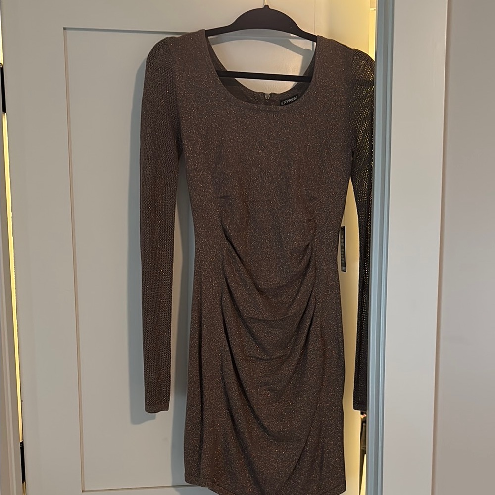 Express brown sparkle Elegant Long Sleeve Dress